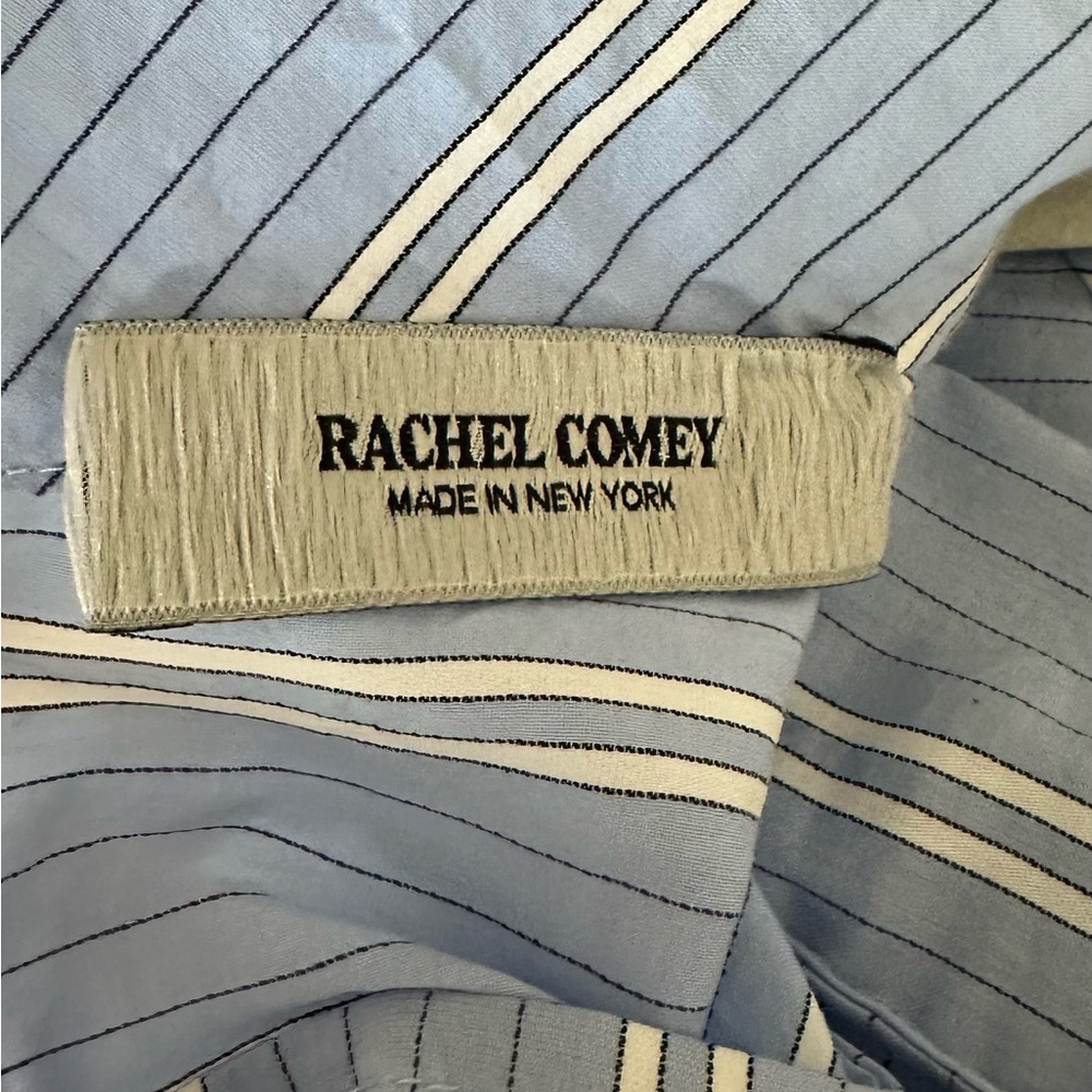 Rachel Comey Blue and White Bishop Sleeve Agathon dress oversized 8 - Picture 8 of 10